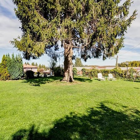 Le Tamerici Rocca Di Papa Exterior foto